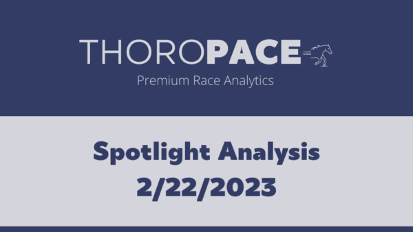 ThoroPACE Premium